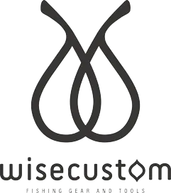 Wisecustom.net Favicon