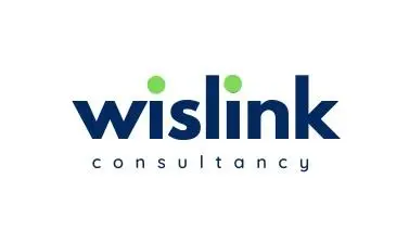 Wislinkgroup.com Favicon