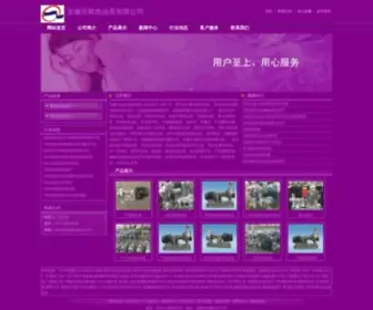 WLdjeans.com(安徽百铭热油泵有限公司) Screenshot