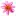 WO-Blumenbilder-Wachsen.de Favicon