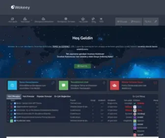 Wokeey.com(Wookey) Screenshot