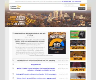 Wokinglibdems.org.uk(Woking Liberal Democrats) Screenshot