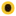 Woku.de Favicon