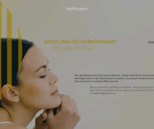Wolffsystem.de(Wolff System AG) Screenshot