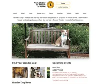 Wonderdogrescue.org(Wonder Dog Rescue) Screenshot