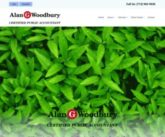 Woodbury-Cpa.com(Houston, TX CPA) Screenshot