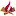 Woodfuelwales.org.uk Favicon