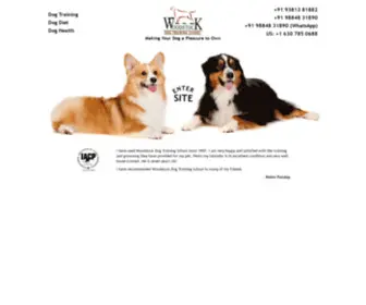 Woodstockdogs.com(Woodstock Dog Training School) Screenshot