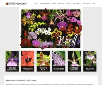 Woolforchidculture.com(Woolf OrchidCulture) Screenshot