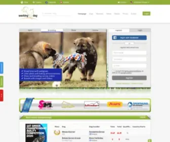 Working-Dog.com(Hunde, Videos, Meisterschaften, Stammbäume, Kontaktdaten, Bilder und vieles mehr) Screenshot
