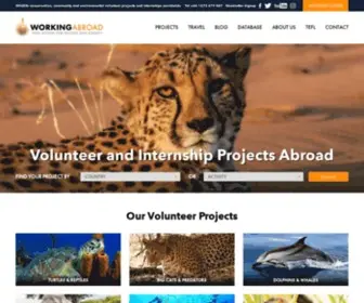 Workingabroad.com(Volunteer abroad) Screenshot