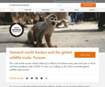 Worldanimalprotection.org(Our vision) Screenshot