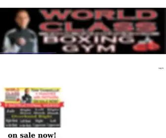 Worldclassboxinggym.com(Boxing Instruction) Screenshot