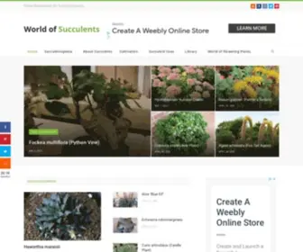 Worldofsucculents.com(World of Succulents) Screenshot