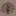 Worldsensorium.com Favicon