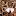 Wortschubse.de Favicon
