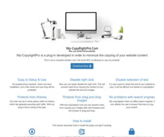WP-Copyrightpro.com(Plugin) Screenshot