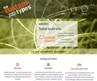 WP-Customtypes.com(Wp custom types) Screenshot