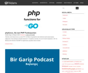 Wpadami.com(WordPress Uzman) Screenshot