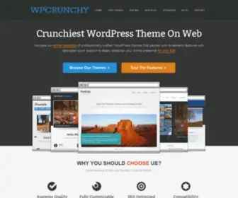 WPcrunchy.com(Premium WordPress Themes) Screenshot
