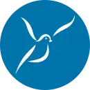 Wpdove.com Favicon