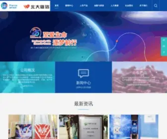 Wpu.com.cn(北大维信) Screenshot