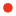 Wpunktw.com Favicon