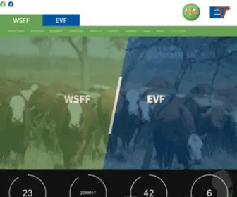 WSFF.info(WSFF info) Screenshot