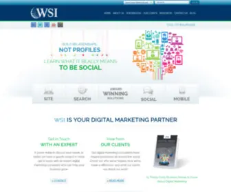 Wsiepro.com(Thousand Oaks Internet Marketing Company) Screenshot