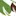 Wuliusuyun.com Favicon