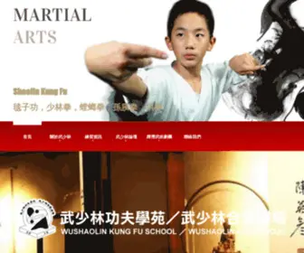 Wushaolin.com(武少林) Screenshot