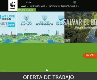 WWF.cl(Bienvenidos a WWF Chile) Screenshot