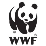 WWfgabon.org Favicon