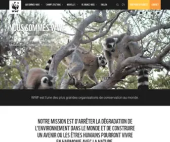 WWF.mg(Accueil) Screenshot