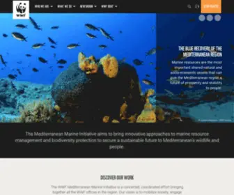 WWFmmi.org(WWF) Screenshot