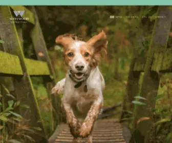 WWRVH.com(Veterinarian Westwood) Screenshot