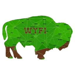 Wyfi.solutions Favicon