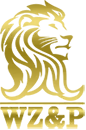 WZ-P.com Favicon
