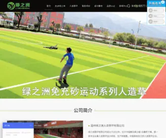 WZLZZ.com(人造草坪) Screenshot