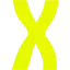 X-Taze.pl Favicon