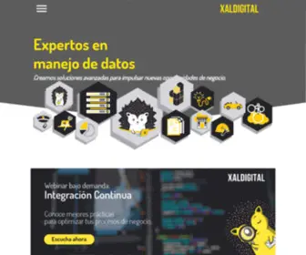 Xaldigital.com(BigData) Screenshot