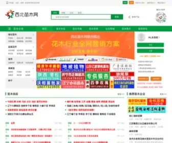 Xbmiaomu.com(西北苗木网) Screenshot