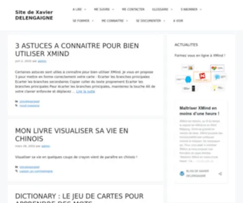 Xdel.fr(Site de Xavier DELENGAIGNE) Screenshot