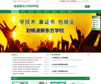 Xdfedu.net(新东方培训学校) Screenshot