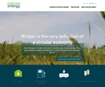 Xergi.com(Nature Energy) Screenshot