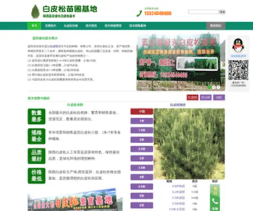 XHBPS.com(白皮松) Screenshot