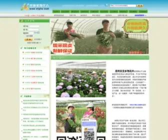 XHPFW.com(昆明鲜花批发网) Screenshot