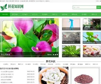 Xianhuazhishi.com(鲜花知识网) Screenshot