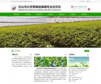 Xiaojiangguo123.com(白山市浑江区小浆果种苗种植专业合作社) Screenshot