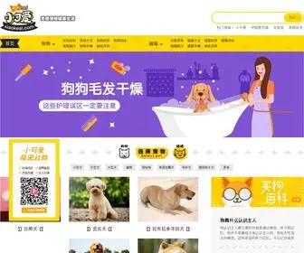 Xiaokeai.com(​小可爱宠物网) Screenshot